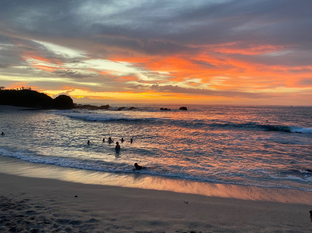 Treetops B&B Inn主图