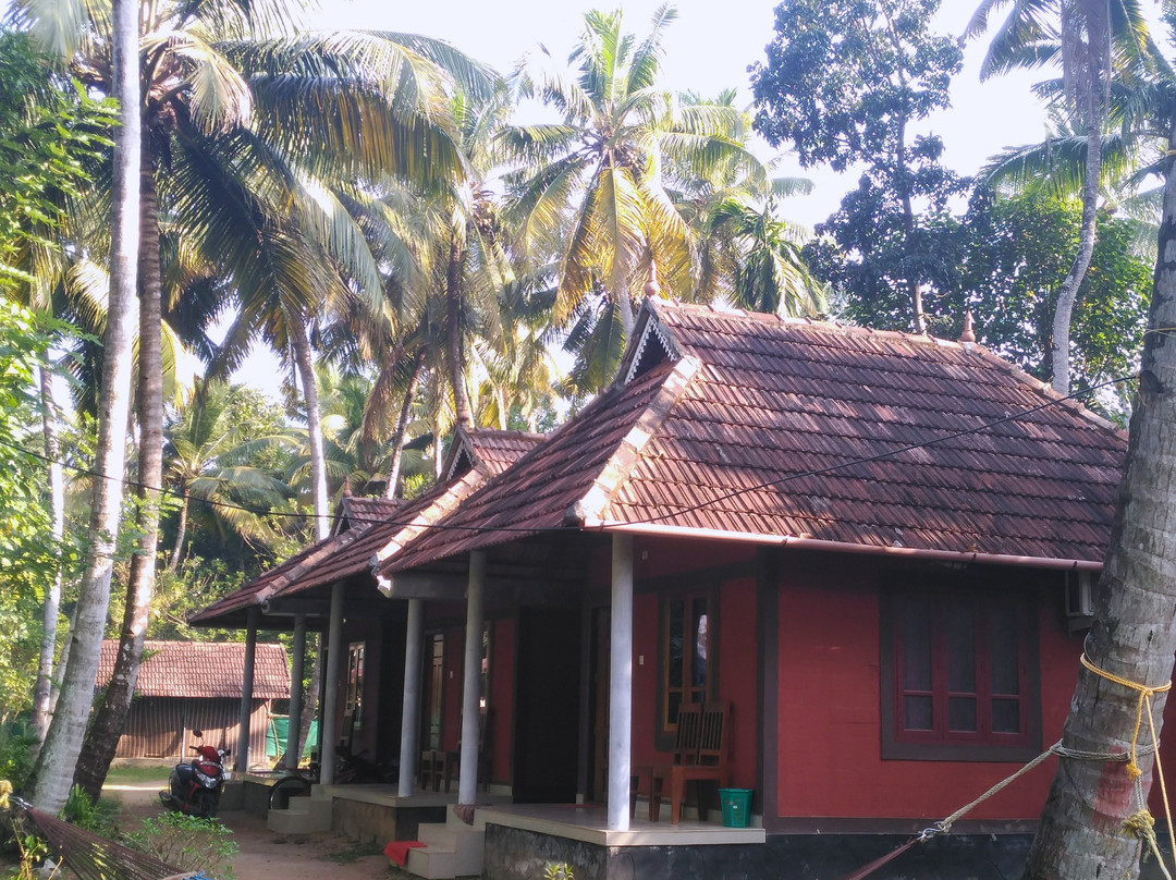 Munroe Paradise主图