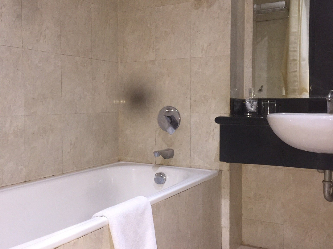 苏黎世酒店主图