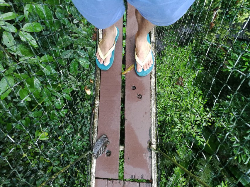 Mulu Skywalk-姆鲁国家公园必去景点