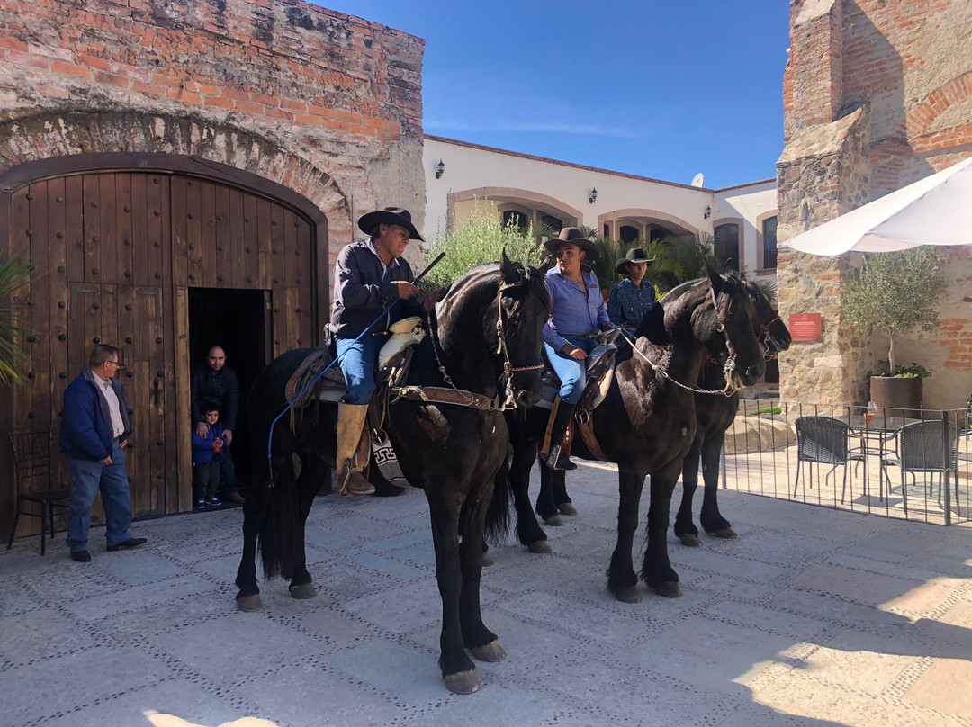 Hacienda San Cristobal主图