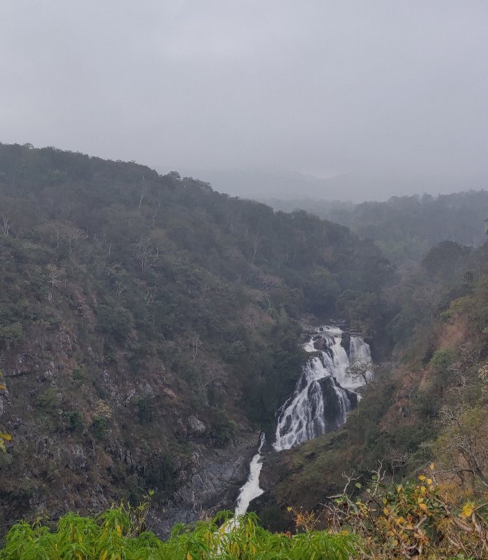 Mudumalai National Park景点图片