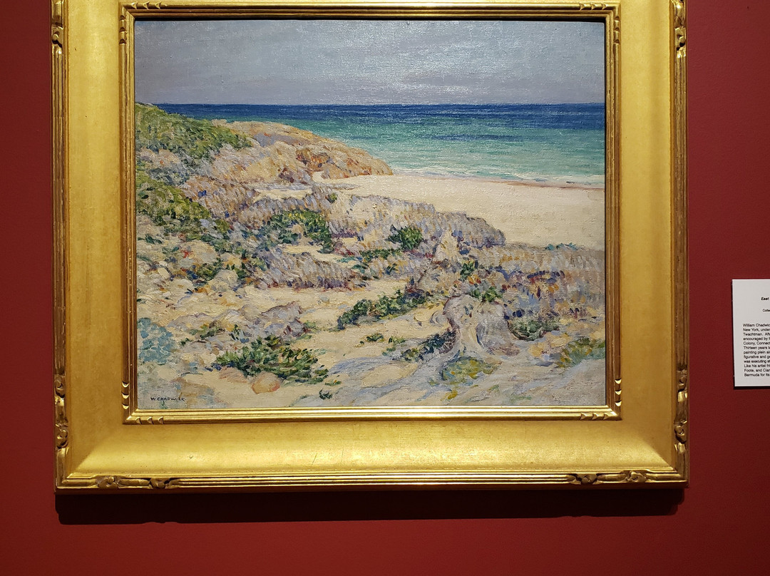 Bermuda Society of the Arts-汉密尔顿必去景点