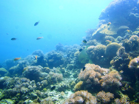 394DIVE-马丹岛必去景点