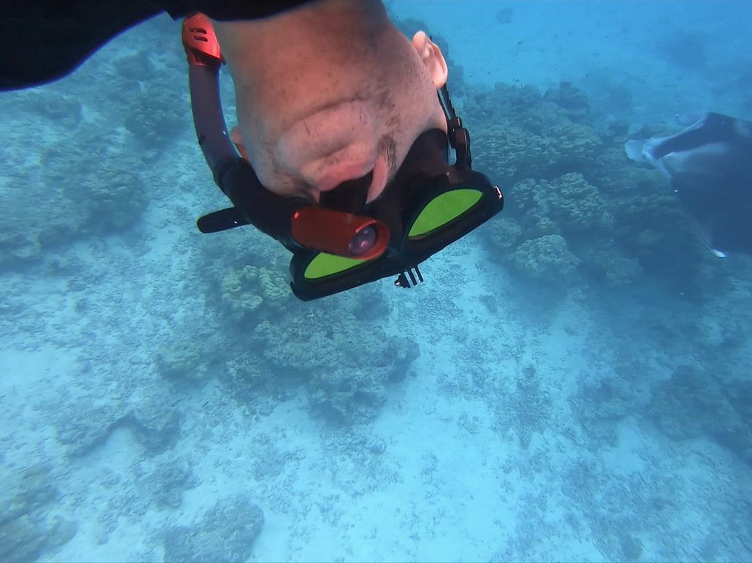 Tikehau Ocean Tour-提克豪环礁必去景点