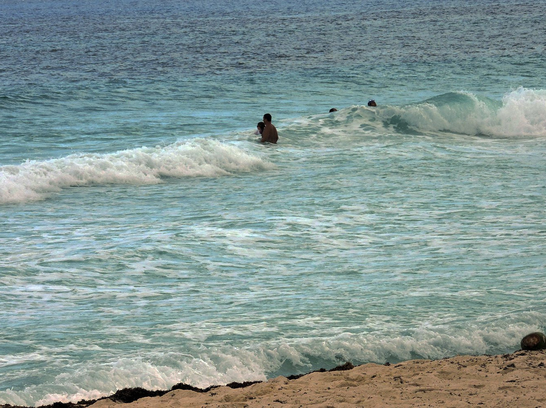 Playa de San Martin景点图片