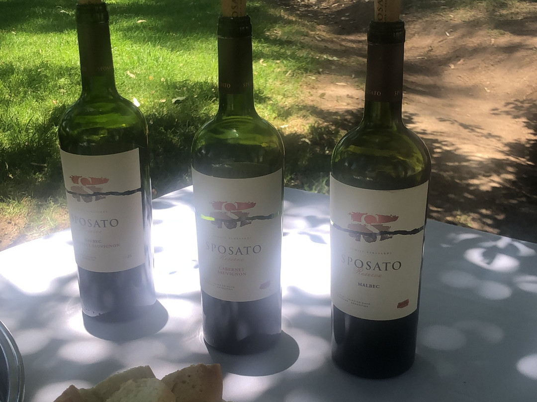 Sposato Family Vineyards景点图片