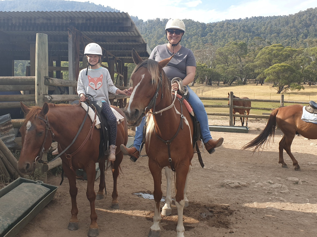 Thredbo Valley Horse Riding-Crackenback必去景点
