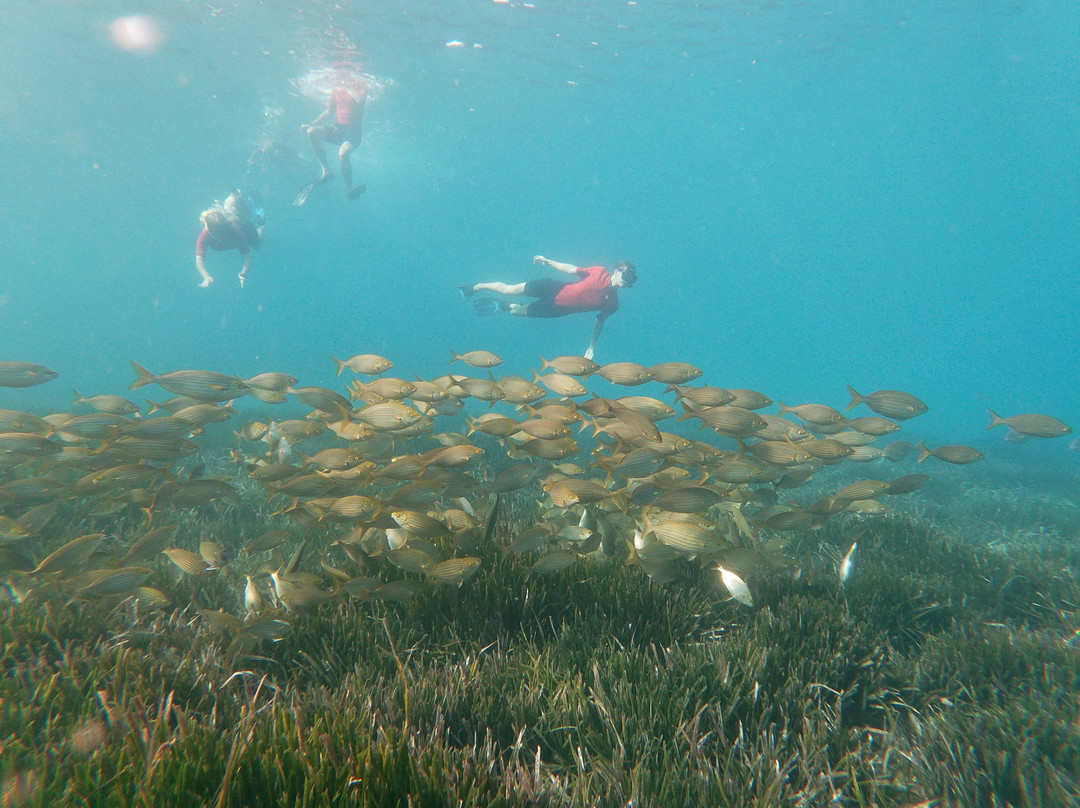 Snorkel Cabo de Gata景点图片