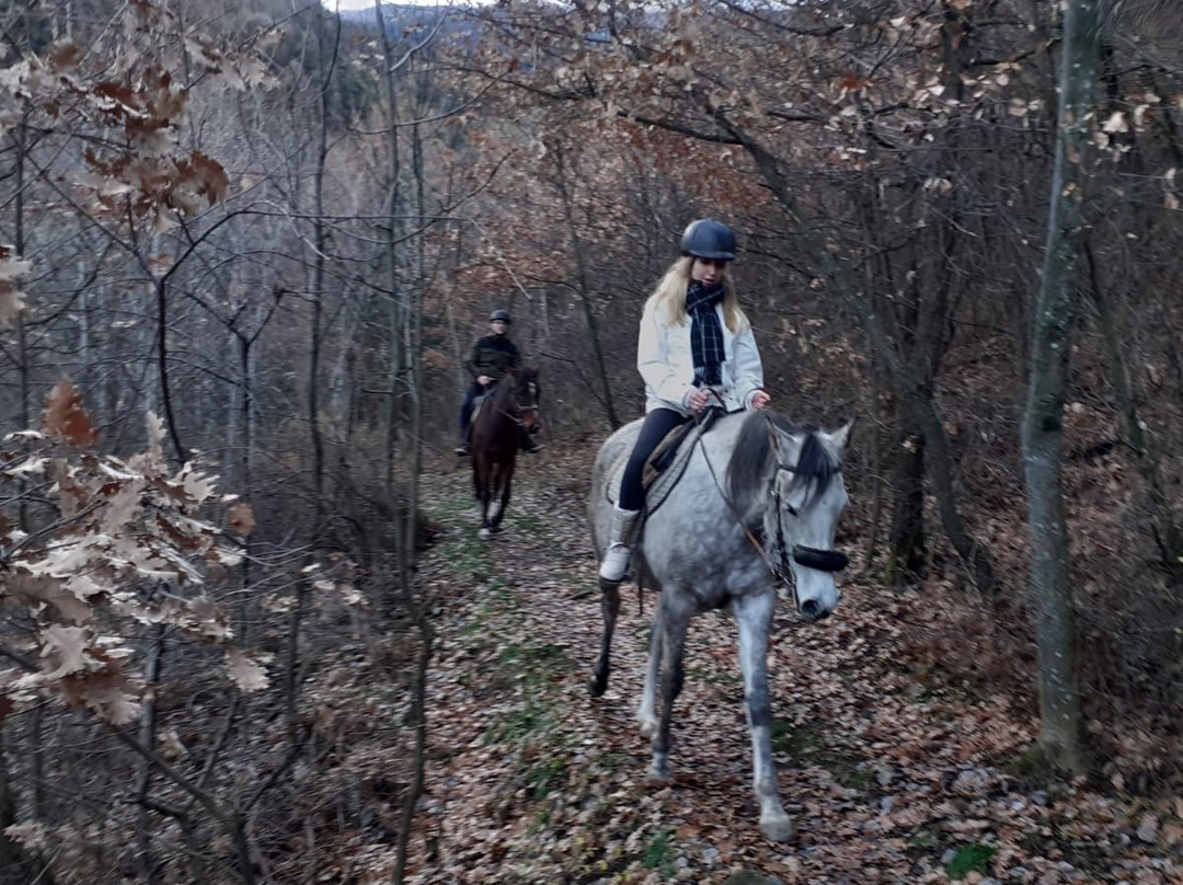 Horse's Heaven Vda-Gressan必去景点