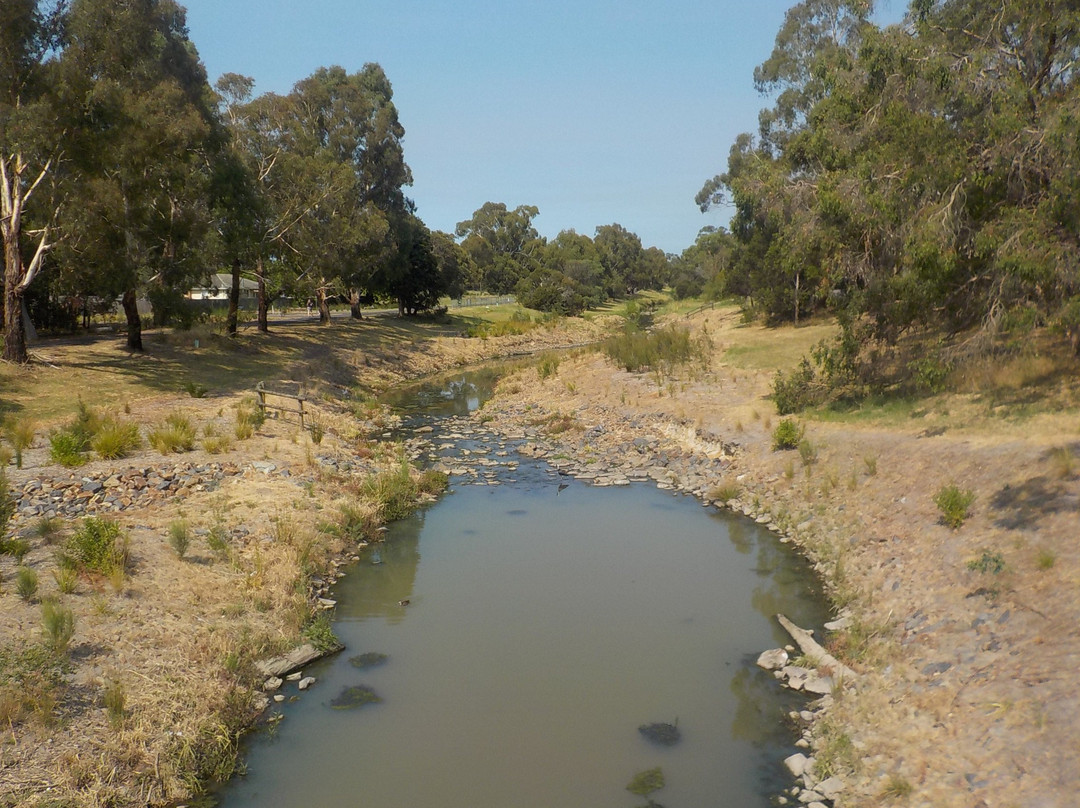 Dandenong Creek Trail-格伦韦弗利必去景点