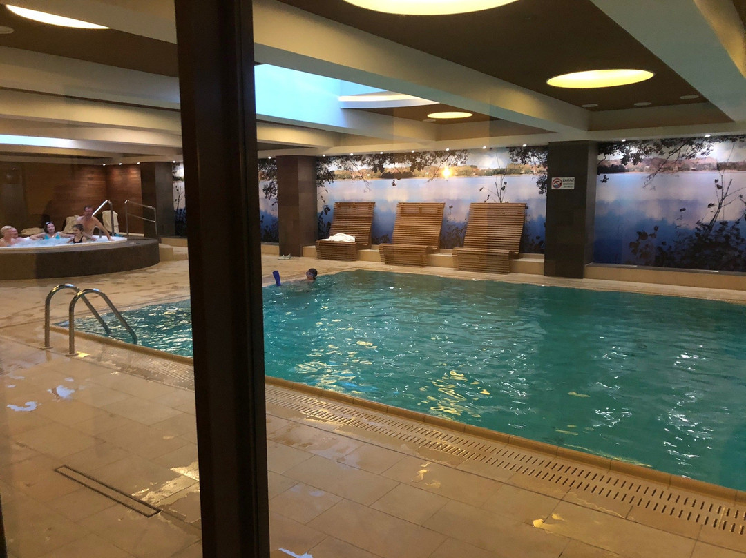 Ostrzyce Hotel & Spa主图