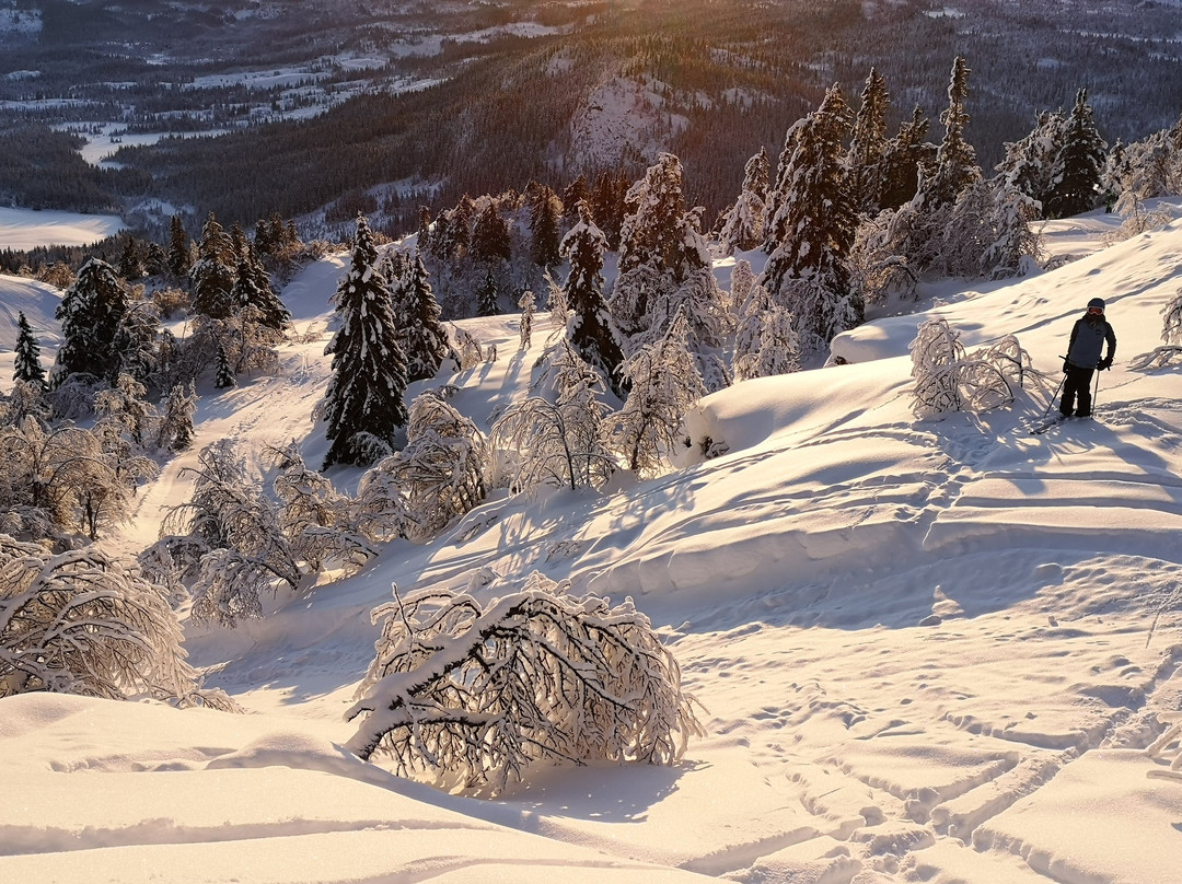 Stavadalen Ski Center景点图片