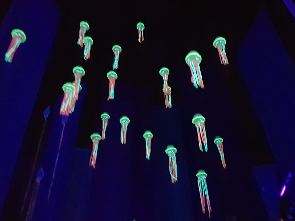 Cheongdo Provence Photoland-清道郡必去景点