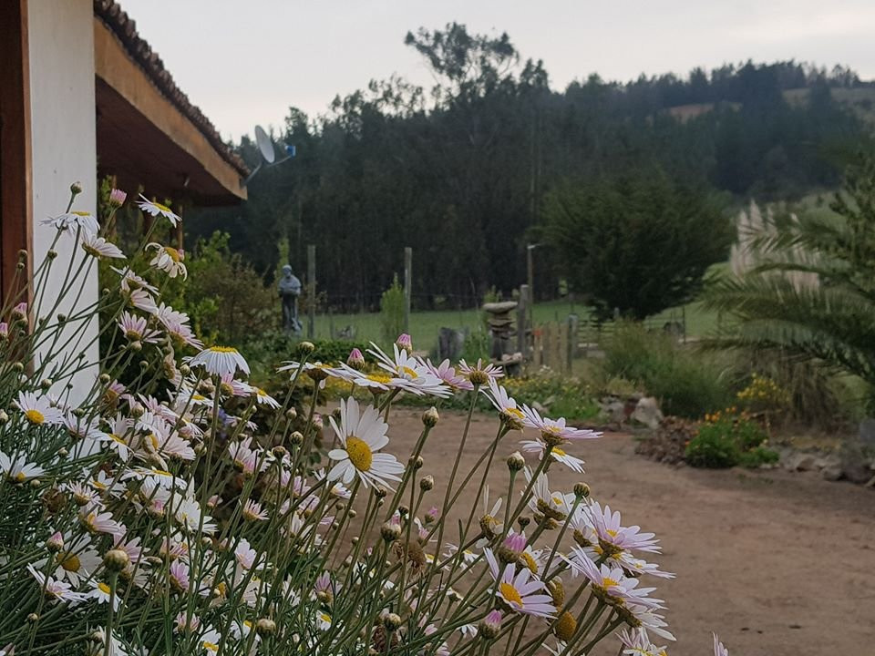 Paredones旅游攻略图片