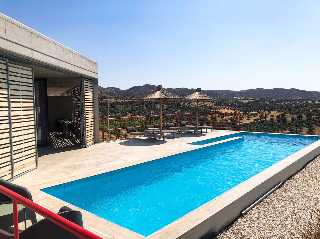 The Boomerang House Bed And Breakfast主图