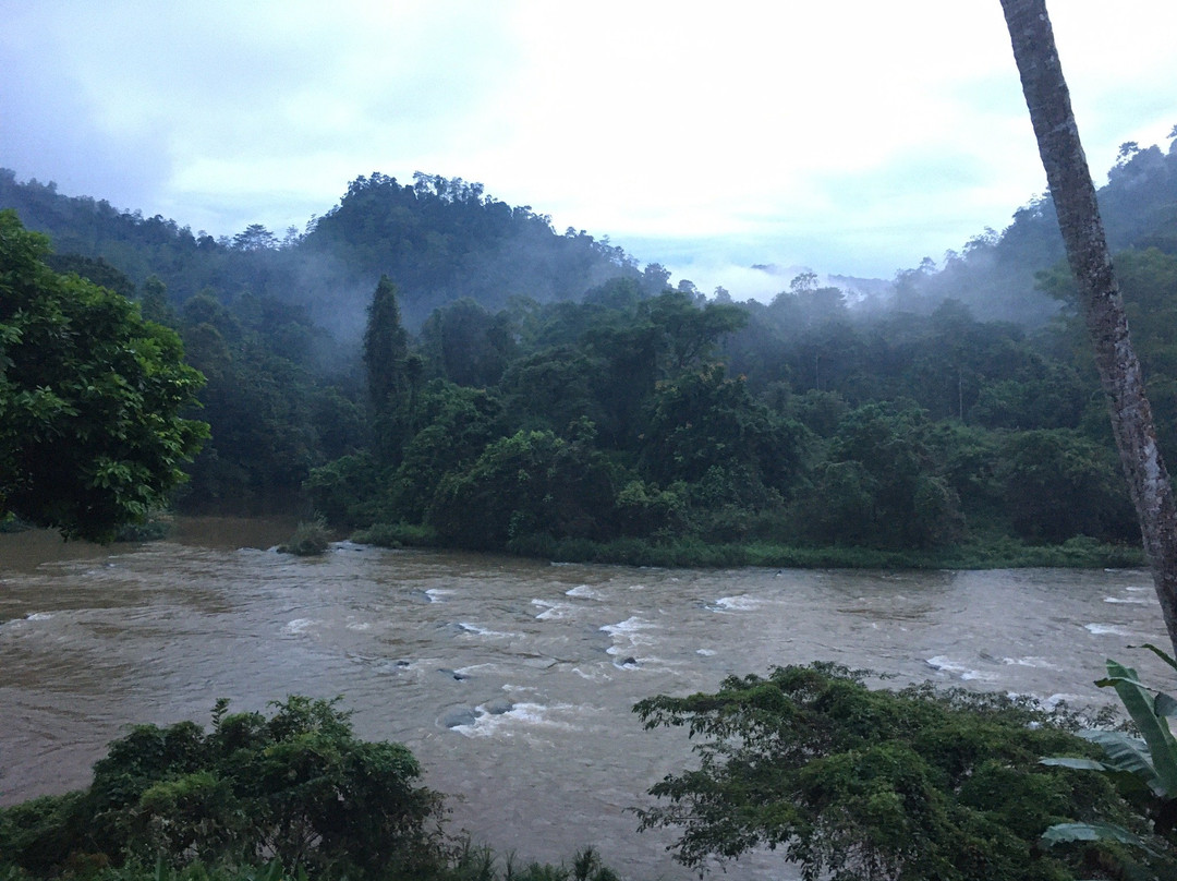 Mountriver Hotel主图