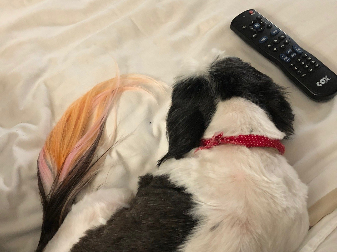 Best Western Inn & Suites主图