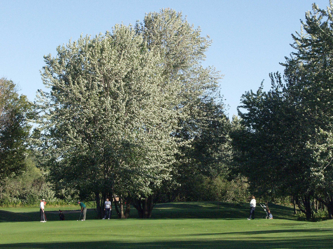 Carman Creek Golf Course & Practice Facility景点图片