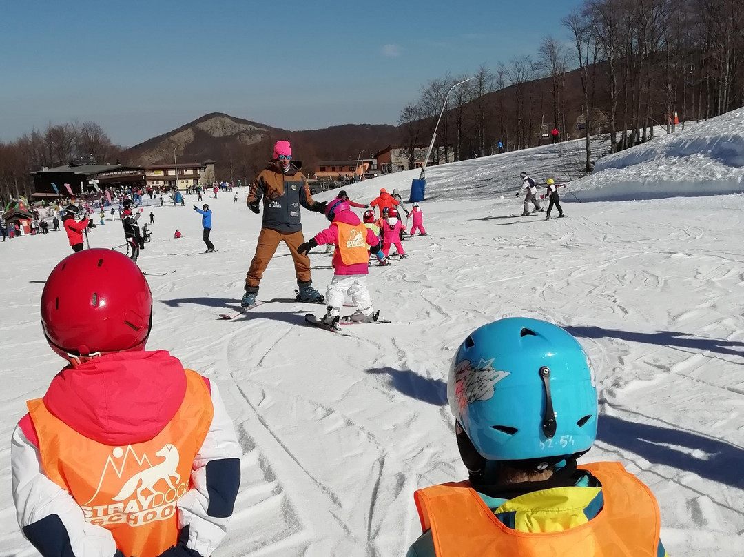 Scuola Sci e Snowboard Stray Dogs Le Polle Riolunato Cimone