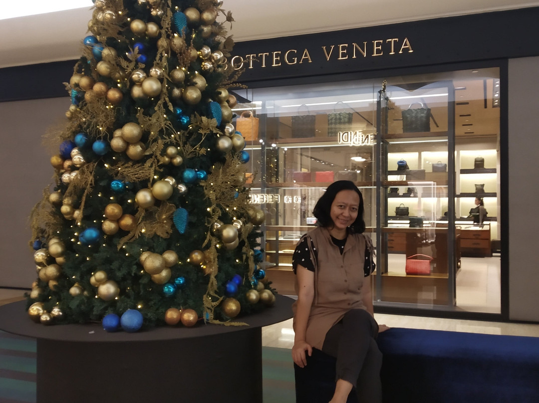 Plaza Indonesia-雅加达必去景点