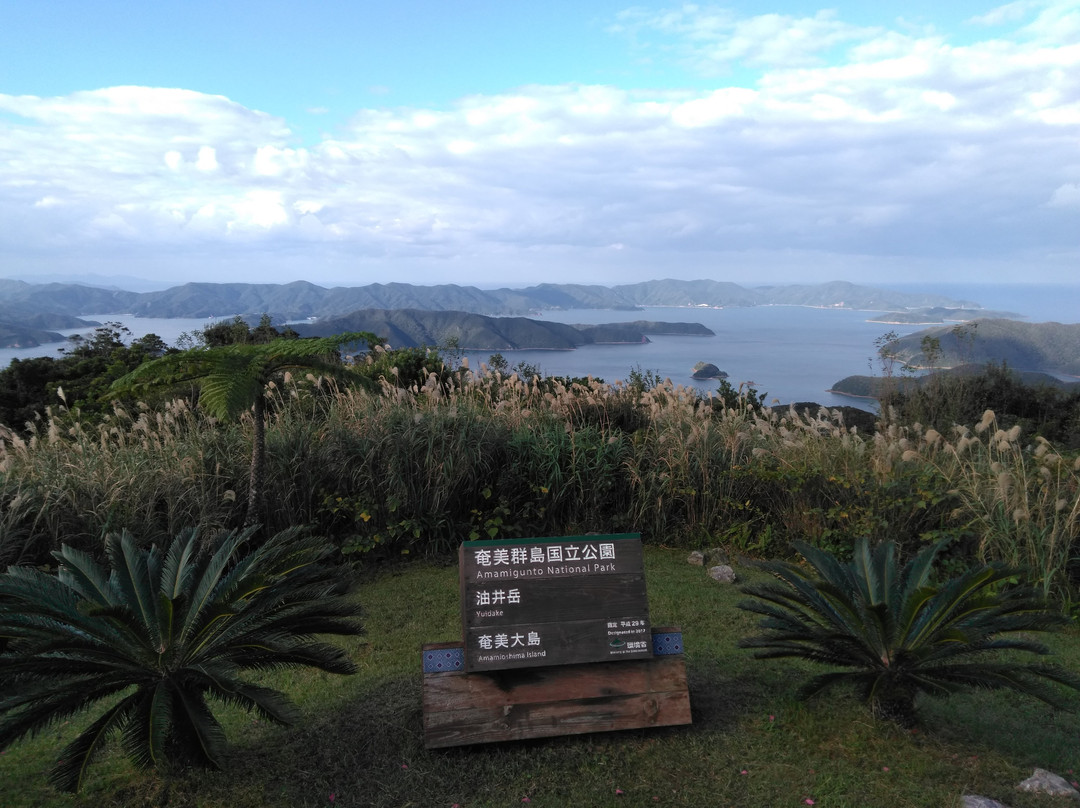 Mt. Yudake Lookout景点图片