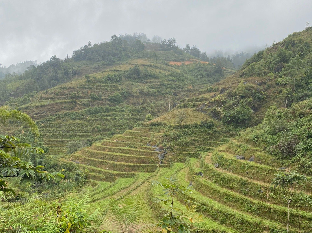 Bac Ha Trekking Tour景点图片