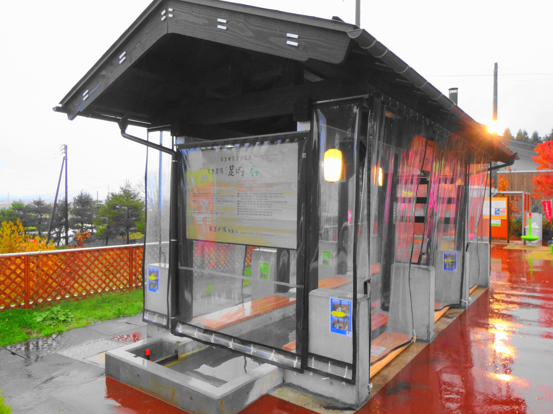 Tennen Hot Spring Asounoyu-长冈市必去景点