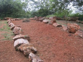 National Fossil Wood Park景点图片