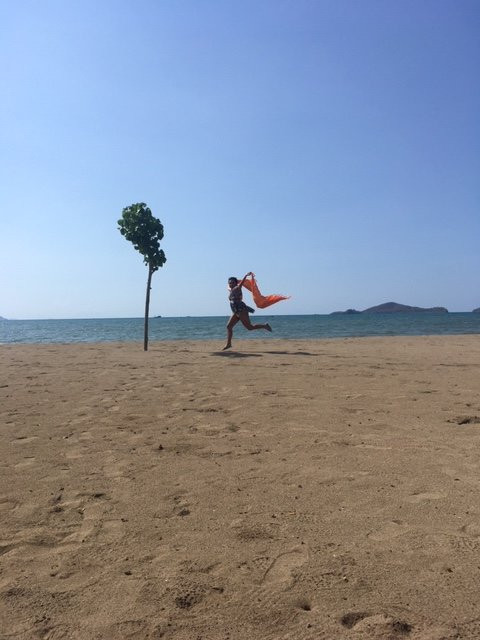 普里纱丽海滩酒店主图