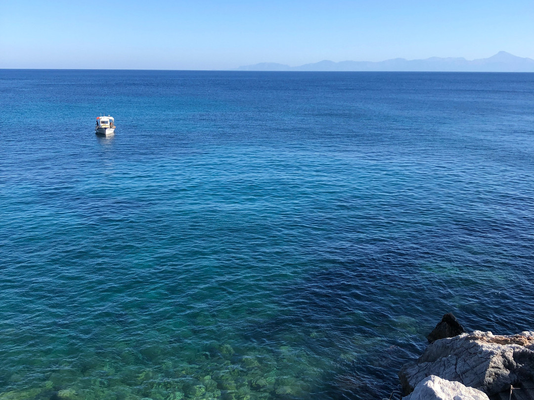 Mando Beachfront主图