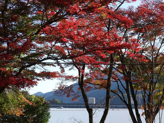 Lake Okutama-奥多摩町必去景点
