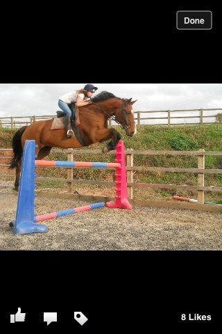 Mill House Equestrian Centre景点图片