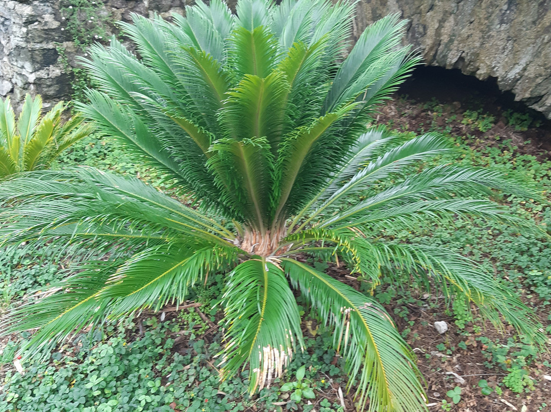 Jardin des Explorateurs-布列斯特必去景点