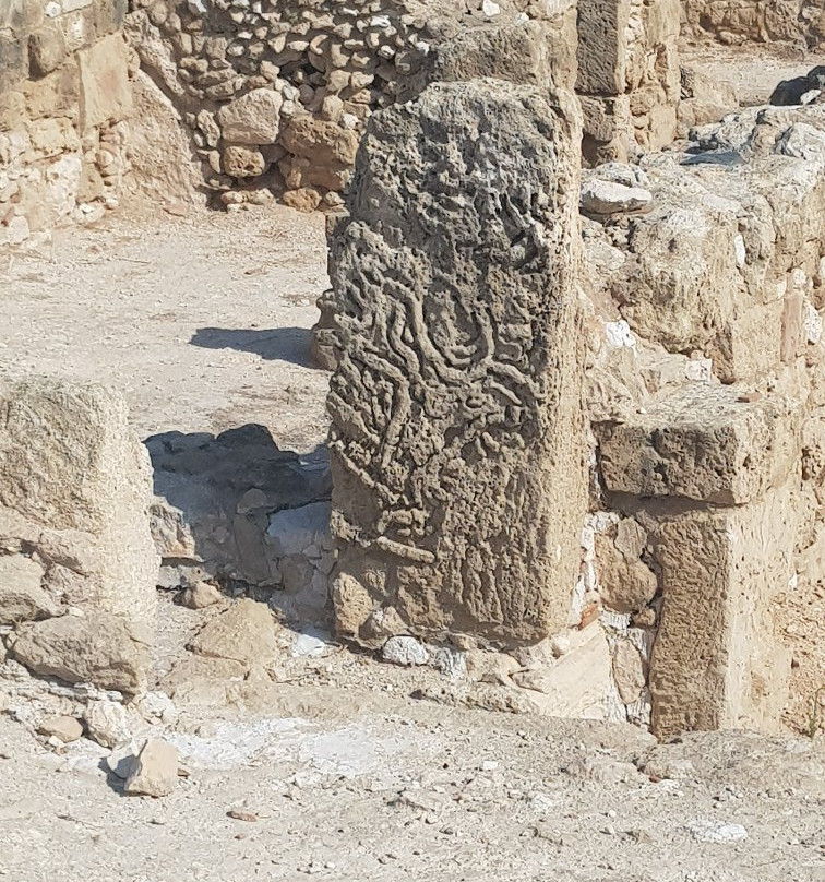 Agios Georgios Museum-帕福斯必去景点