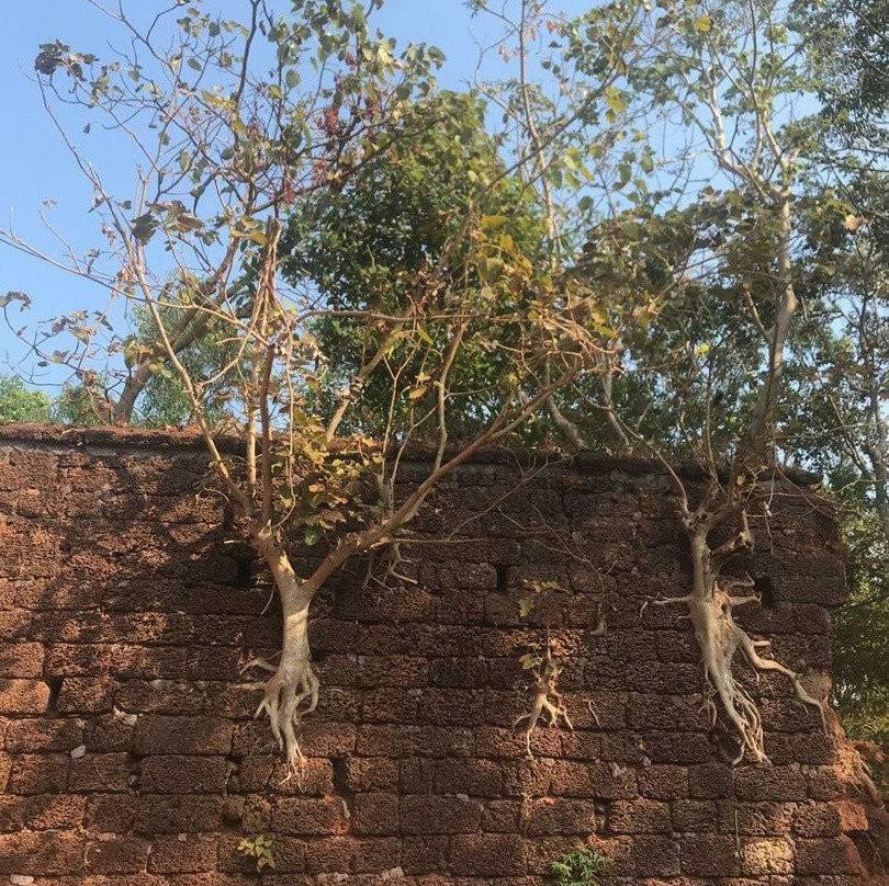 Yashwantgad Fort (Redi Fort)景点图片