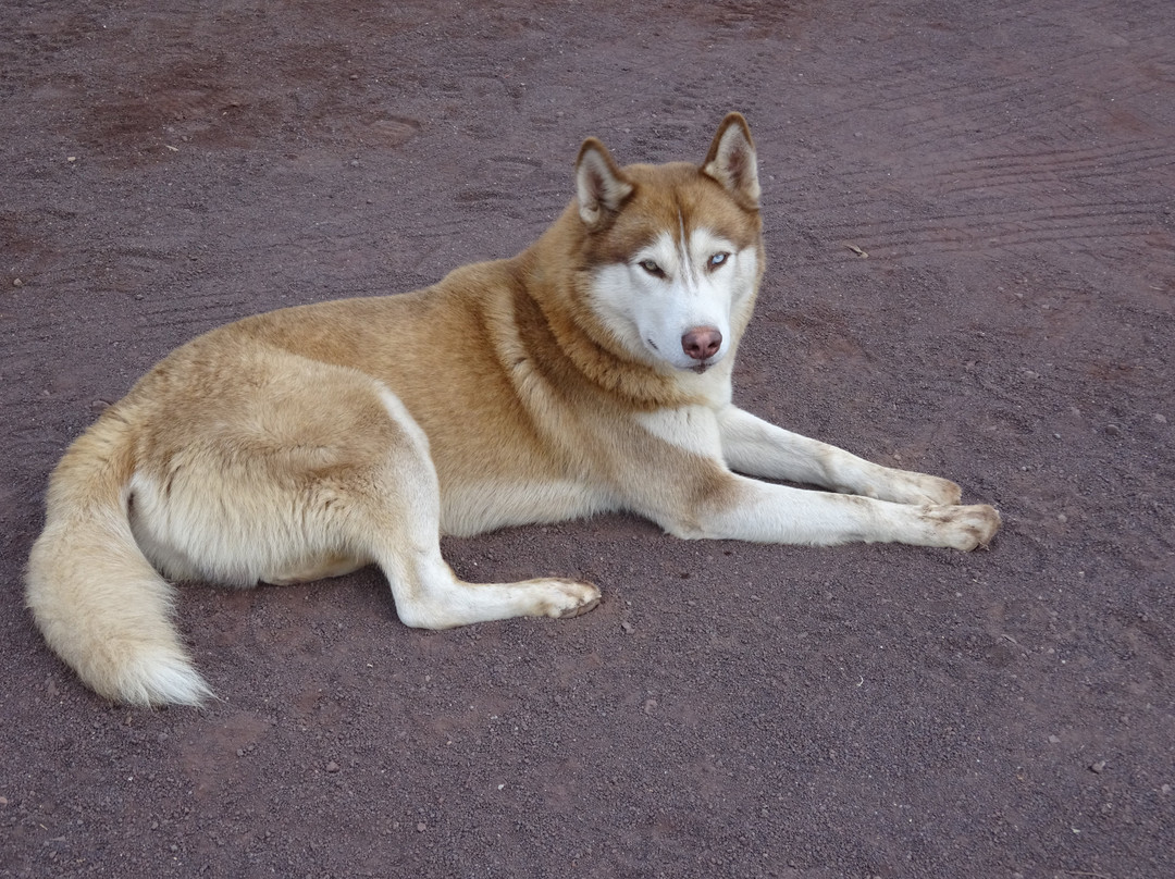 Don Eddie's Landing Hotel主图