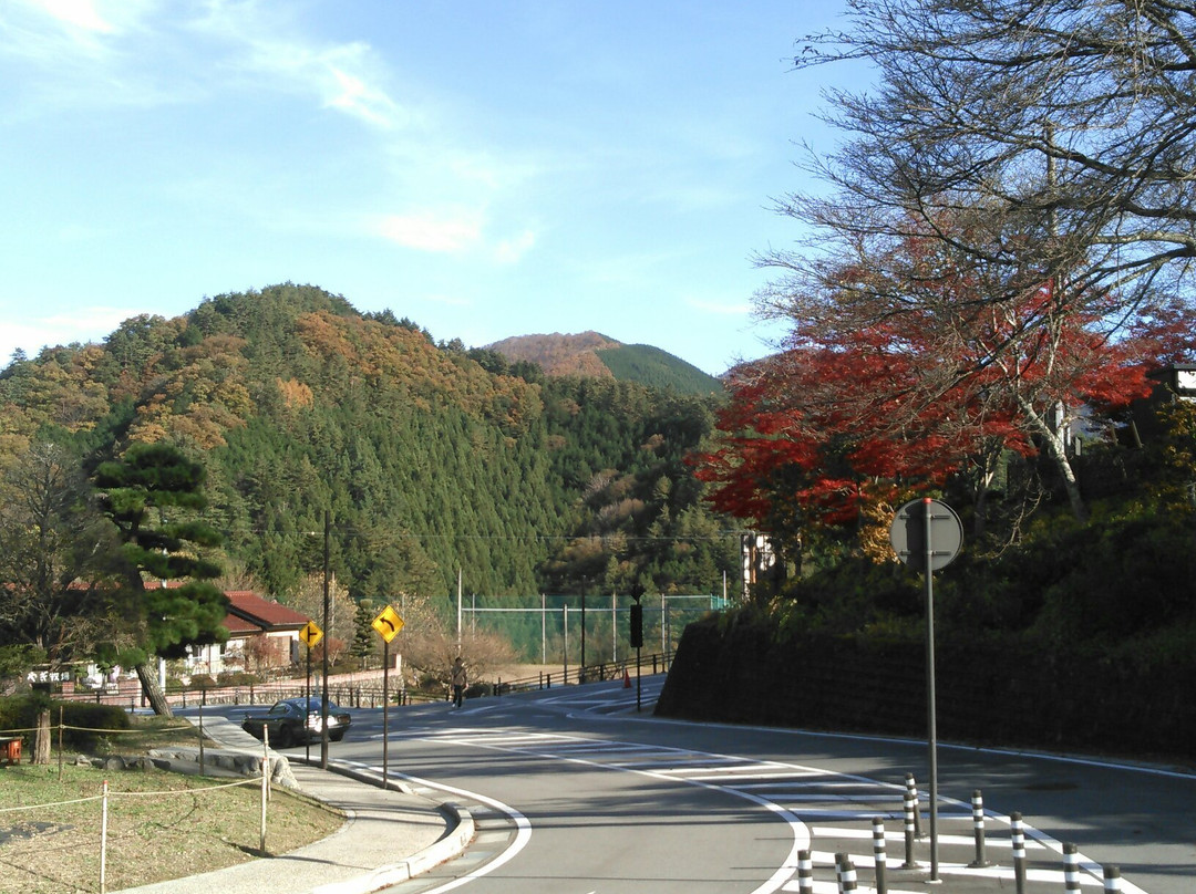 Michi-no-Eki Kosuge景点图片