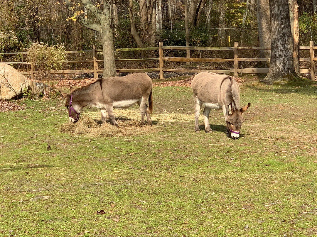 Bergen County Zoological Park景点图片