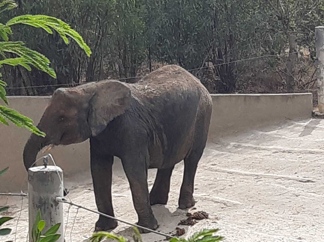 Friguia Park-哈玛麦德必去景点