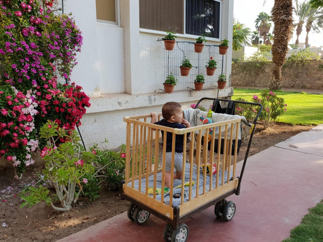 kibbutz eilot tour景点图片