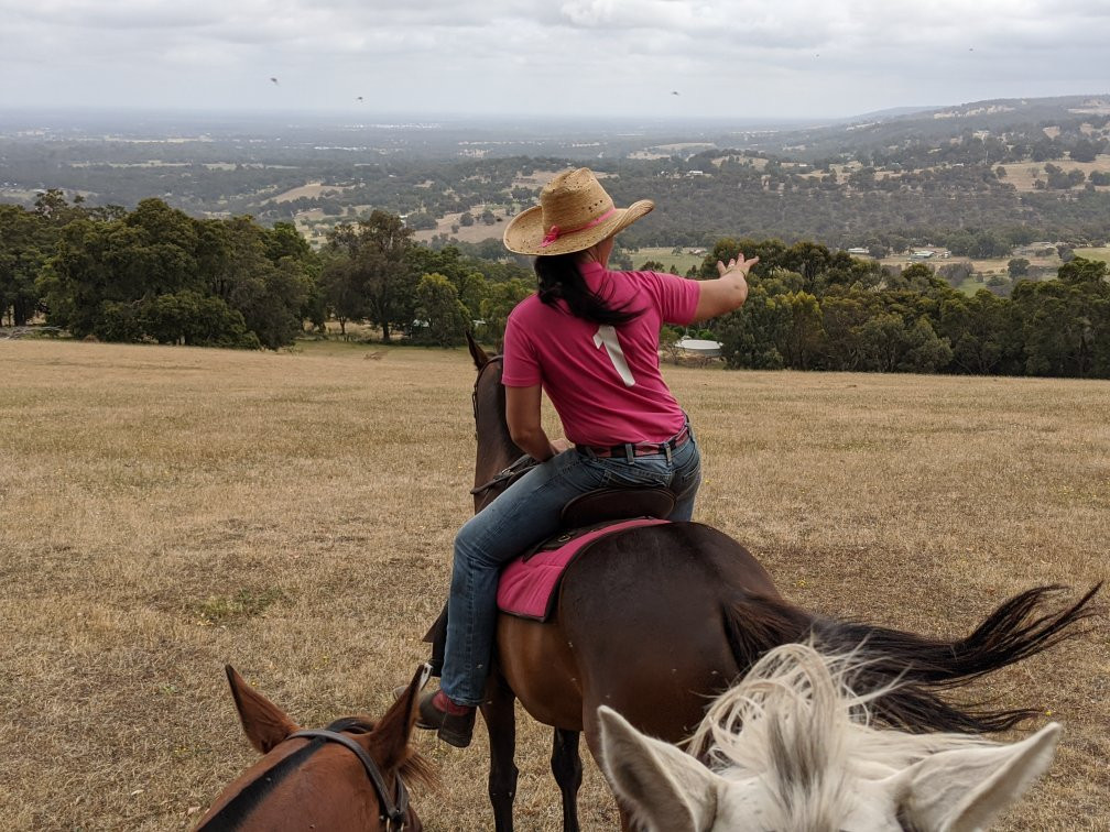 Jarrahdale Equestrian Centre景点图片