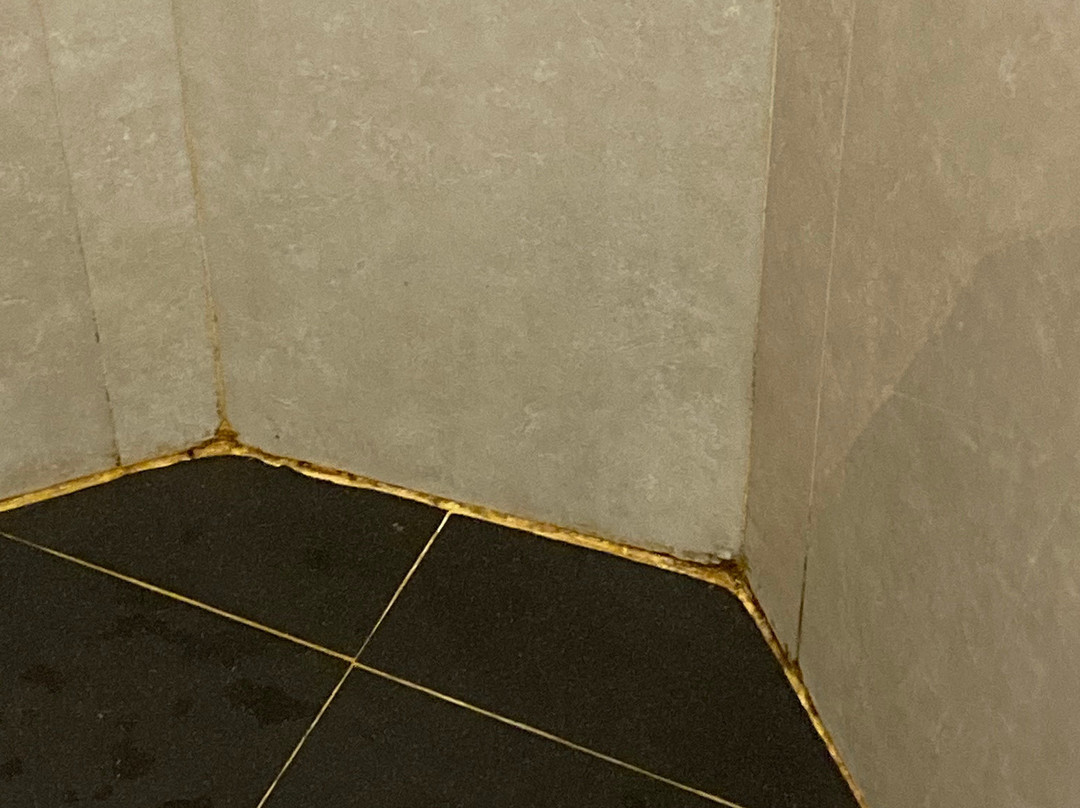 维也纳精品酒店主图