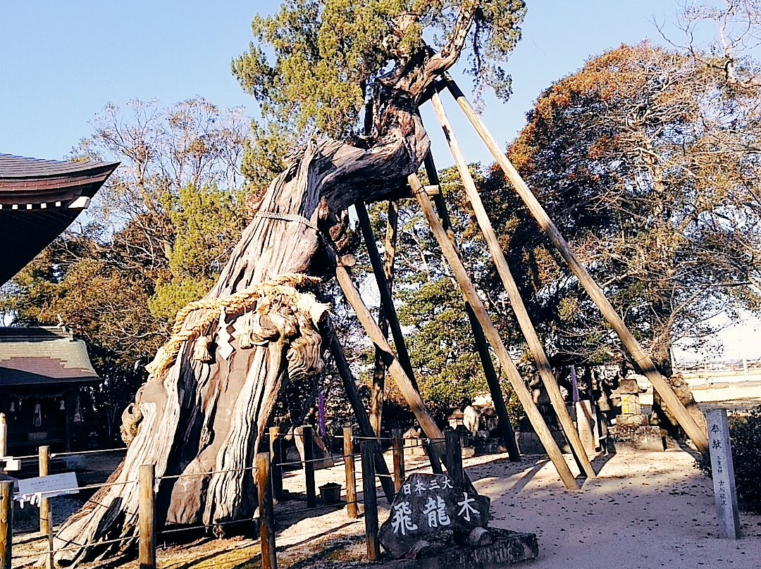 Nikita Shrine-佐贺市必去景点