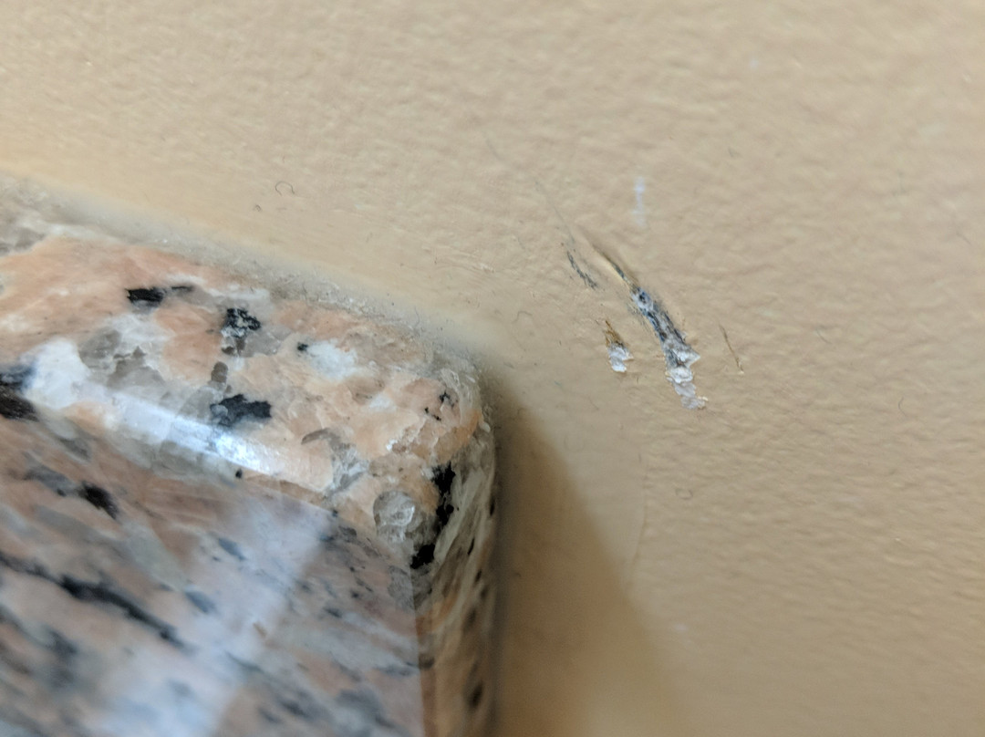 蓝色海豚旅馆主图