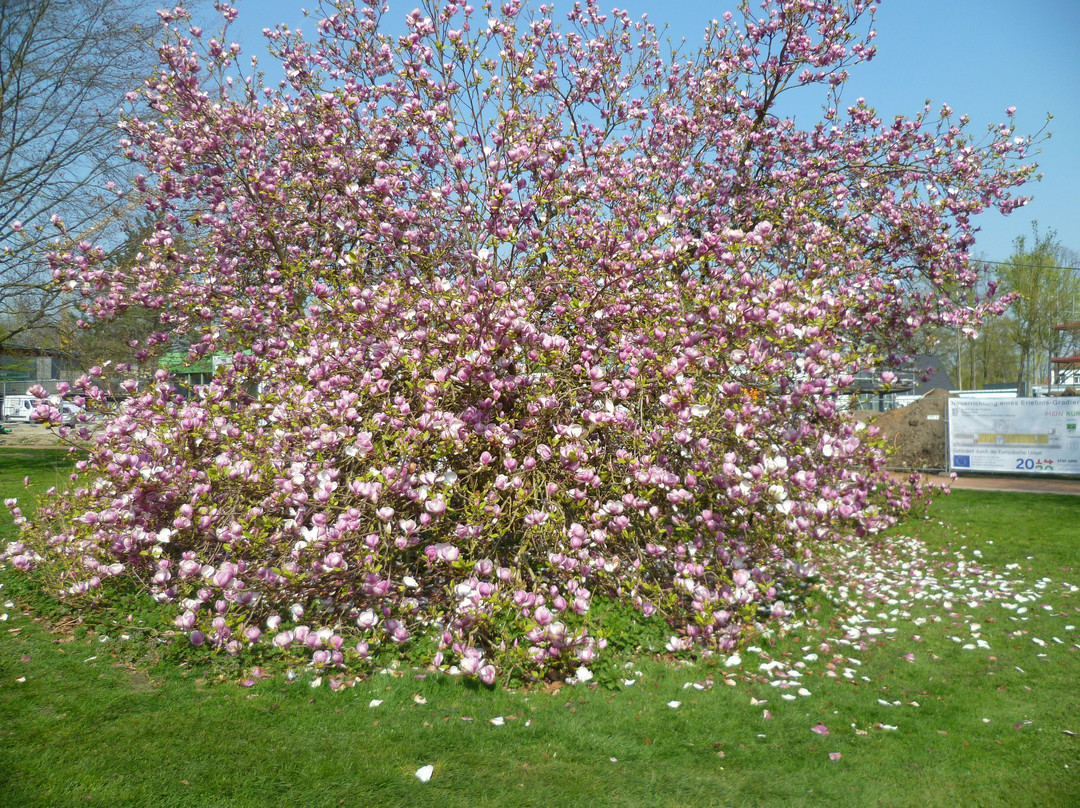玛丽蒂姆巴特萨森多夫酒店主图