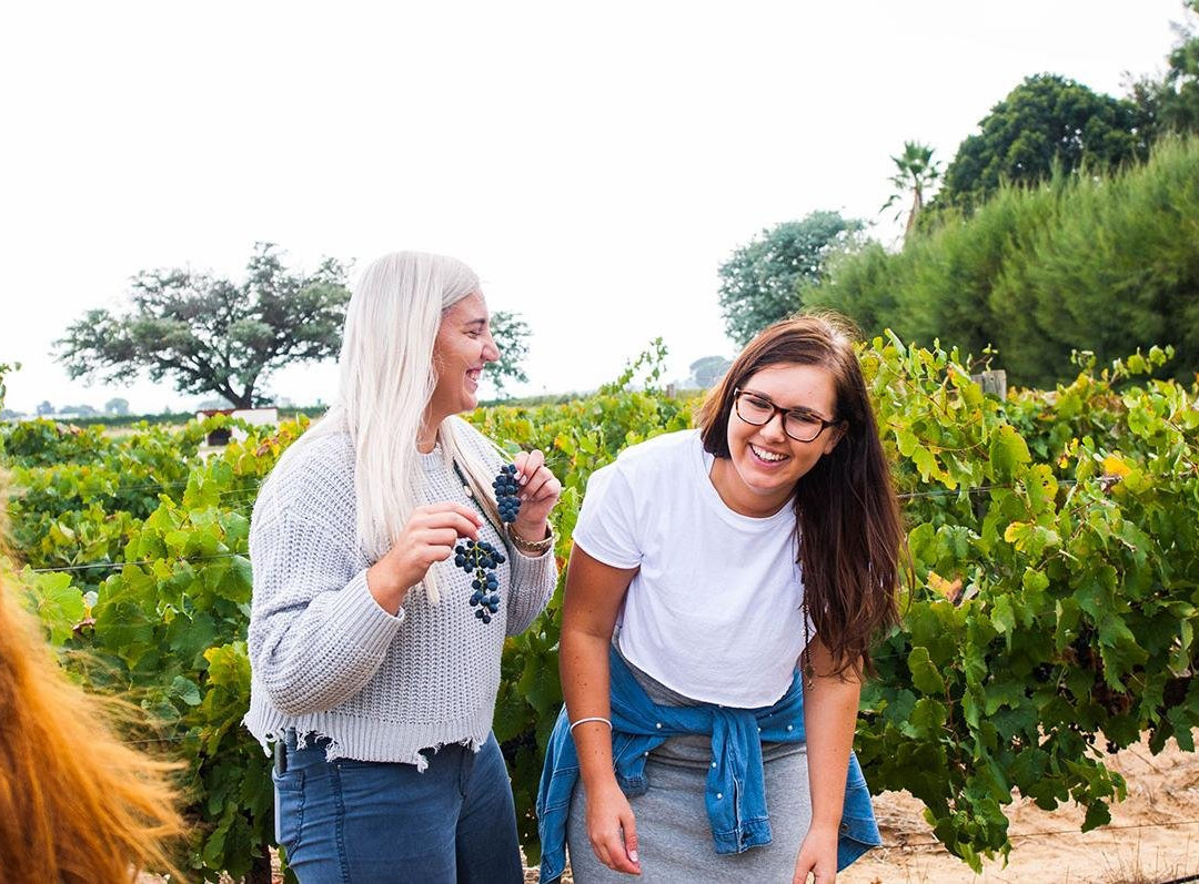 Kirabo Wines-Rawsonville必去景点