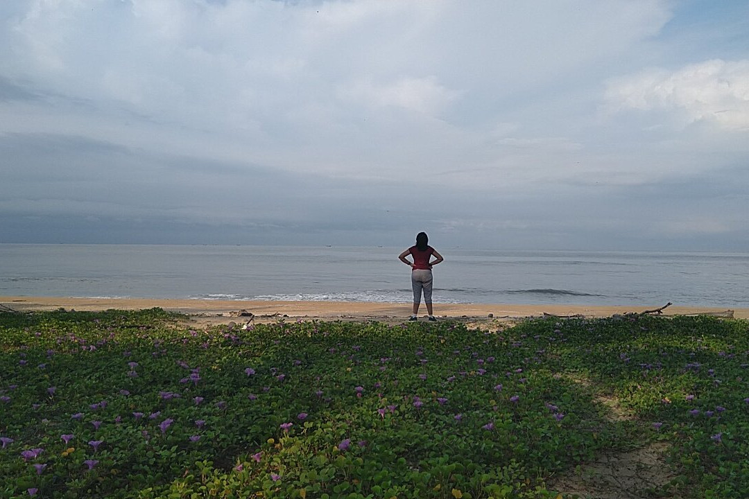 Avisa Beach House主图