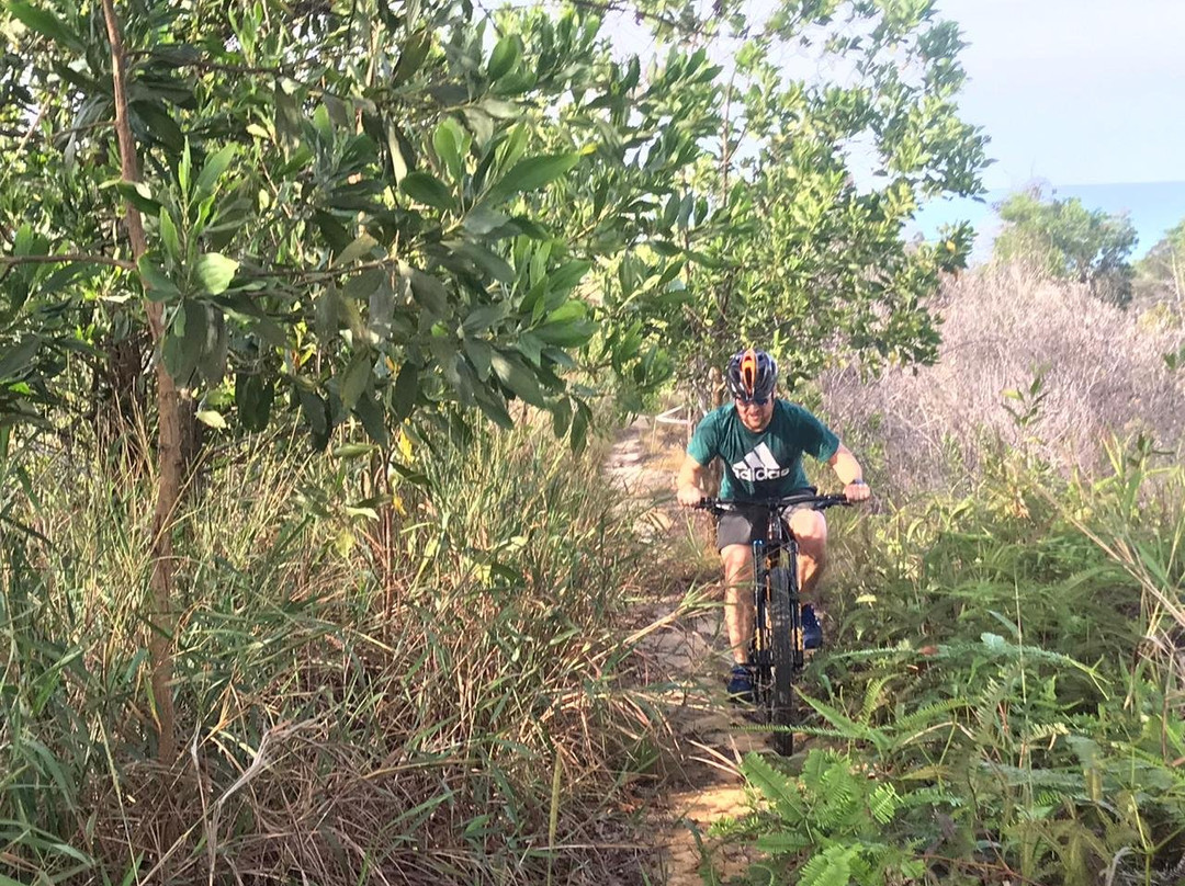 Kingdom Rides + Adventures景点图片