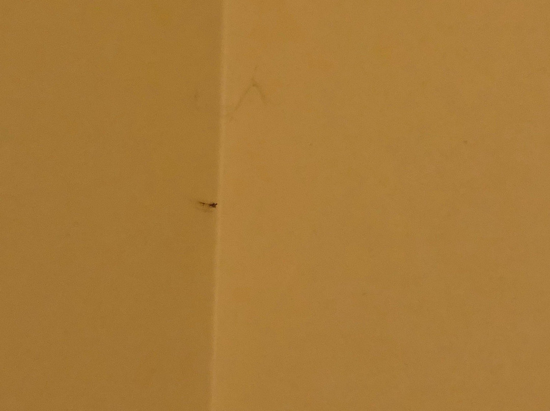 陶艺家啤酒厂度假酒店主图